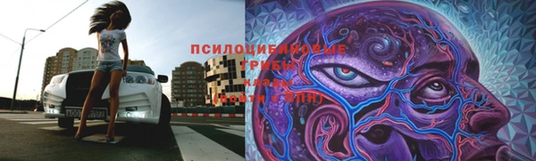 ALPHA PVP Алексин