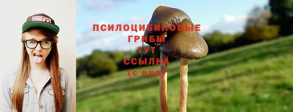 гидра Абаза