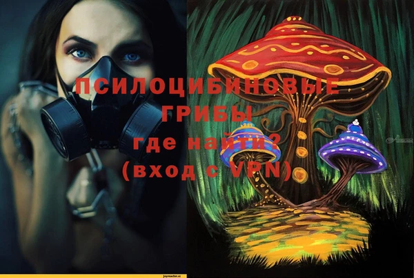 2c-b Алексеевка