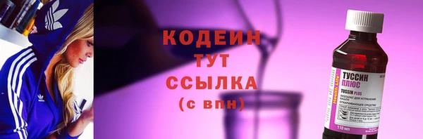 гидра Абаза