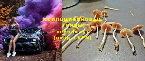 ALPHA PVP Алексин