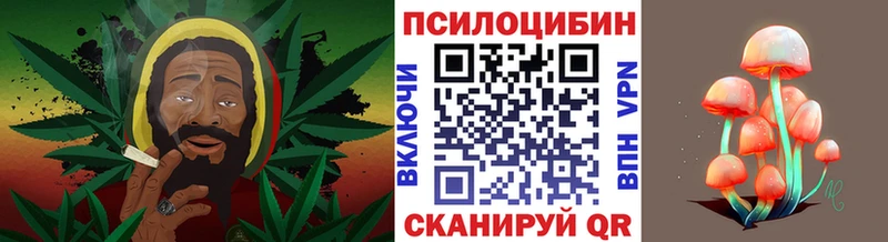 Псилоцибиновые грибы Psilocybine cubensis  цены наркотик  Злынка 